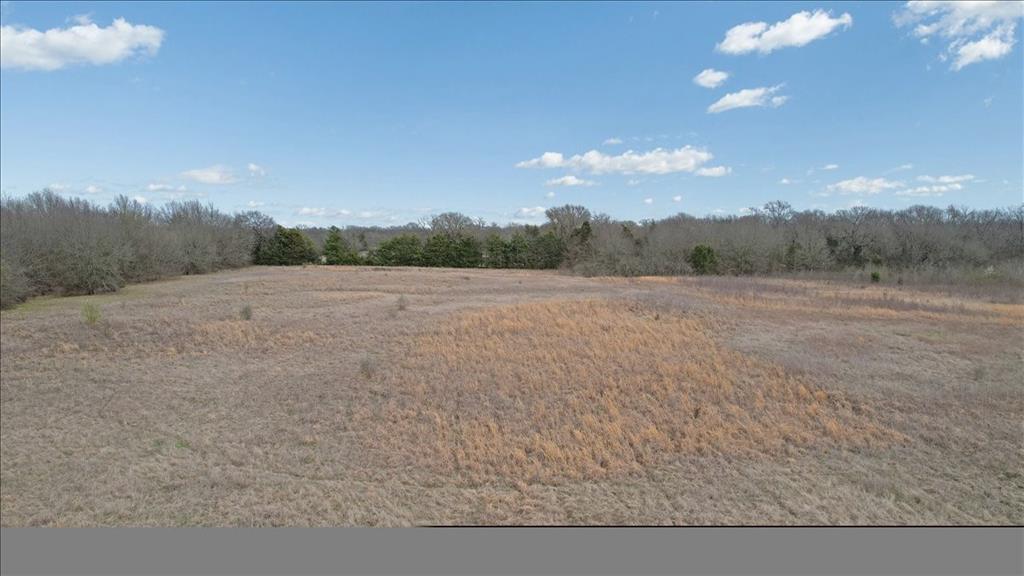 4400 Highway 121 Bonham, TX 75418 - Photo 38 of 40 a view of field with trees in background