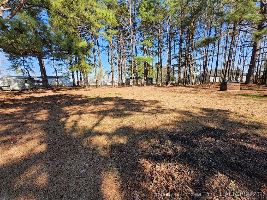 87 Drox Lane Clinton, NC 28328 - Photo 6 of 22 a view of road with trees