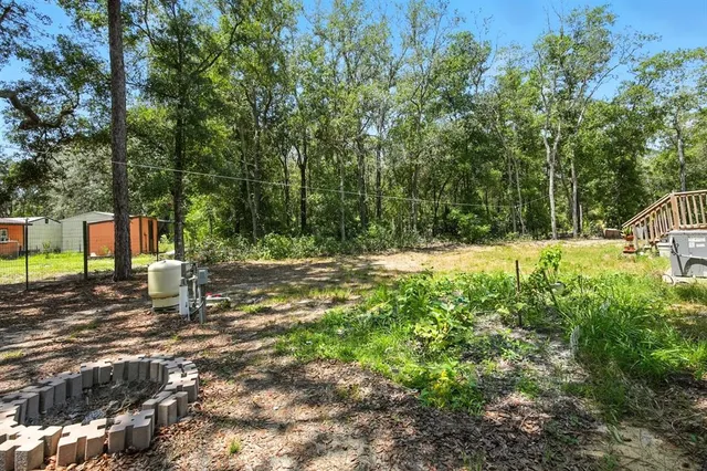a view of a forest with trees