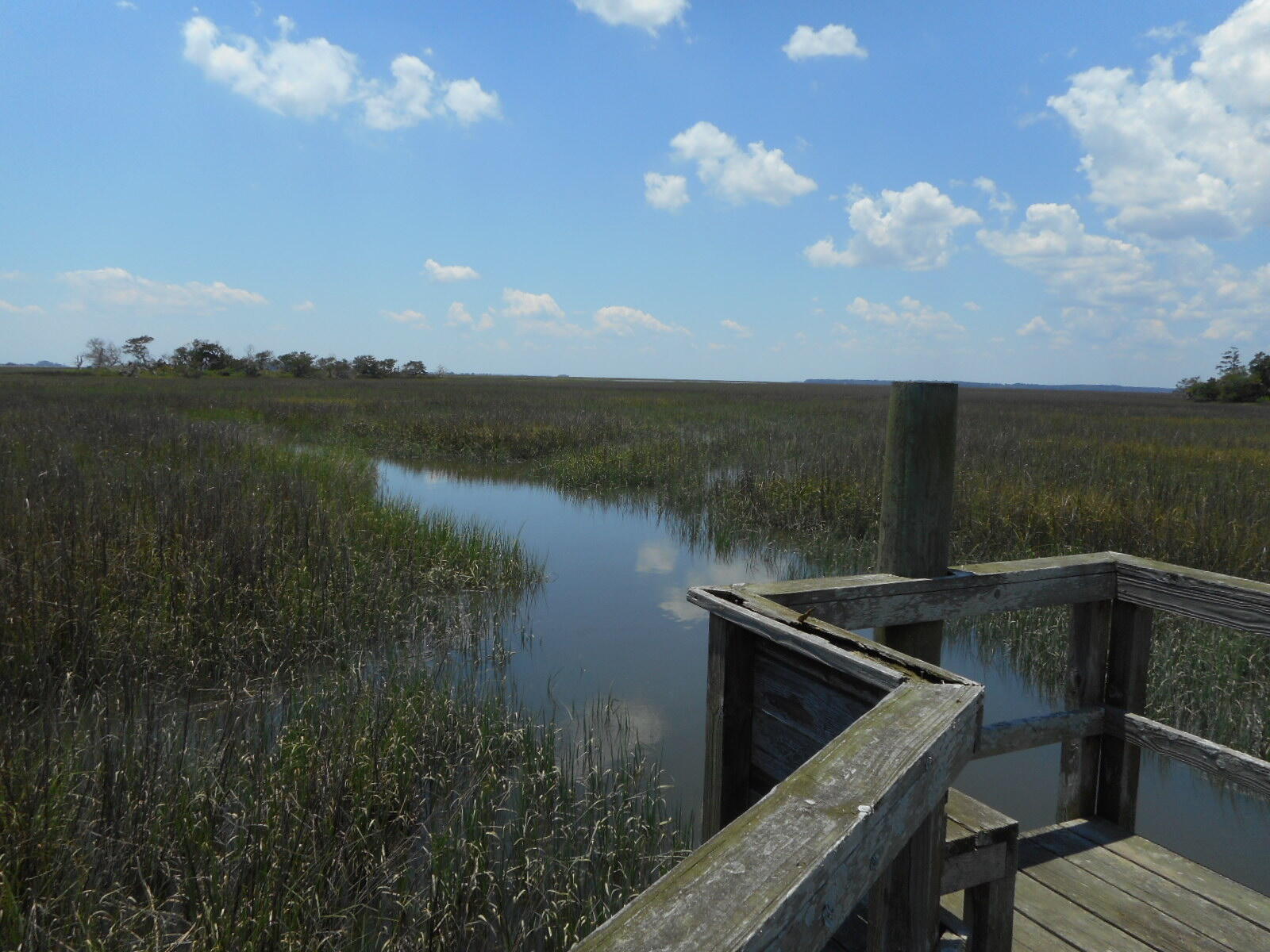 8-a-e Palmetto Road Edisto Island, SC 29438 - Photo 1 of 20 DSCN4538