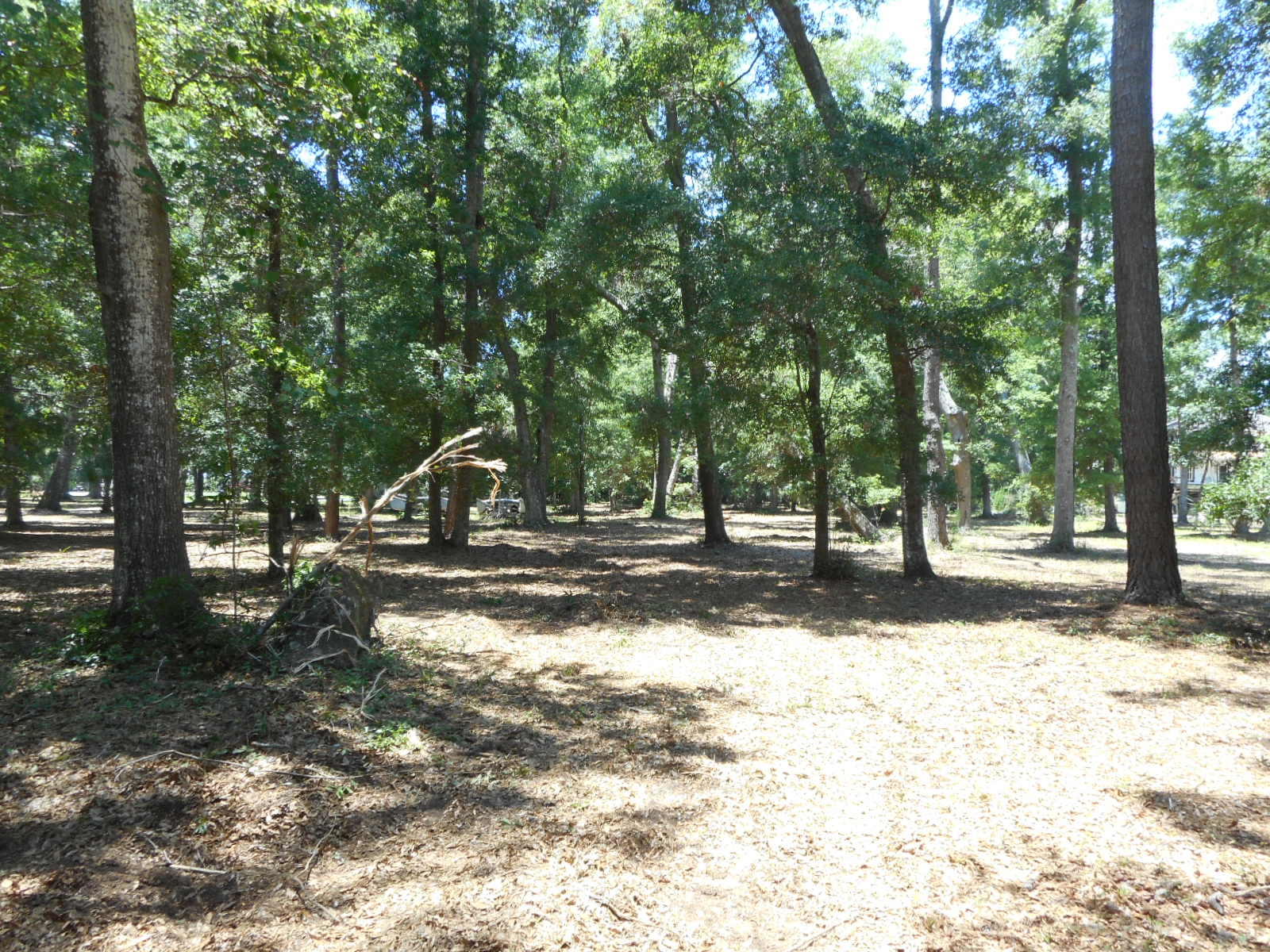 8-a-e Palmetto Road Edisto Island, SC 29438 - Photo 13 of 20 DSCN4520