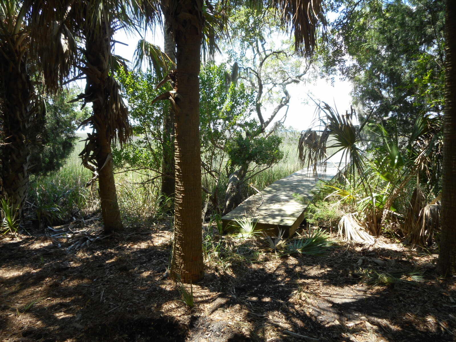 8-a-e Palmetto Road Edisto Island, SC 29438 - Photo 3 of 20 DSCN4530