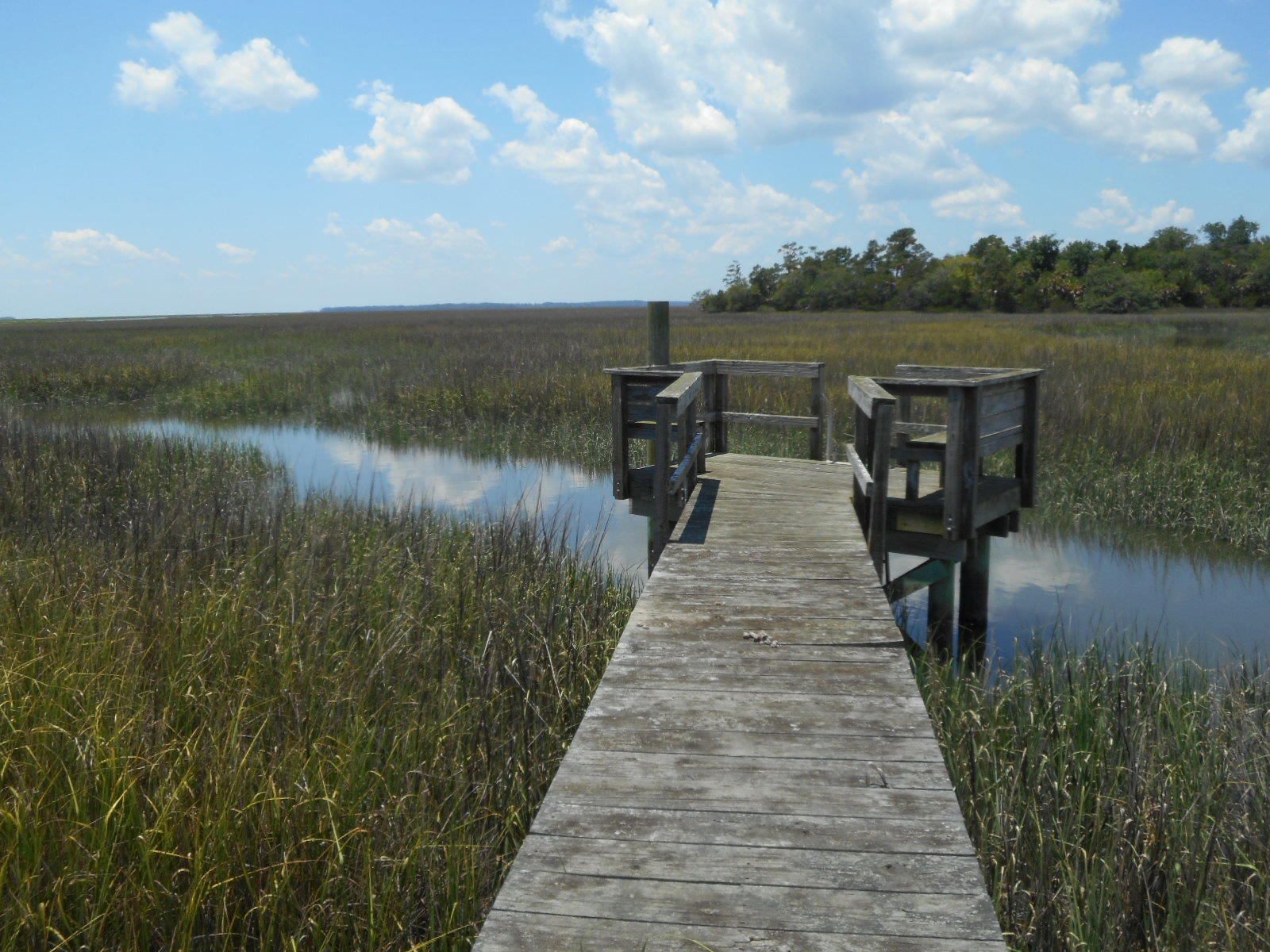 8-a-e Palmetto Road Edisto Island, SC 29438 - Photo 7 of 20 DSCN4536