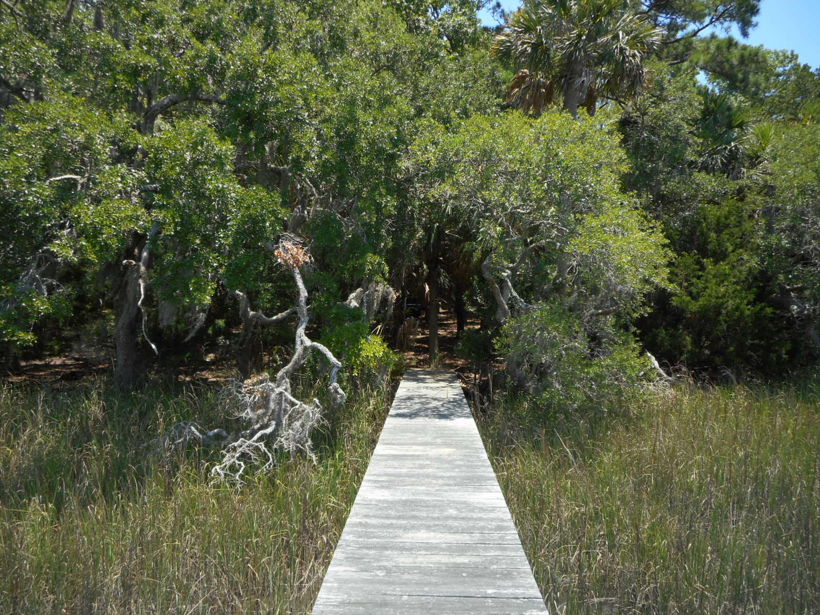 8-a-e Palmetto Road Edisto Island, SC 29438 - Photo 9 of 20 DSCN4533