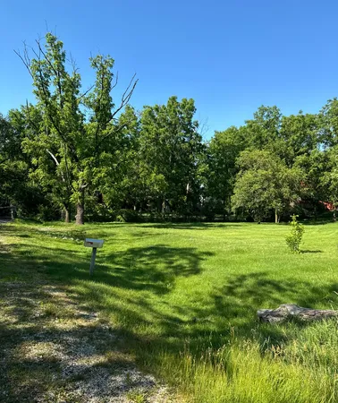 a view of a park with large trees