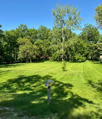 a view of a garden with a bench