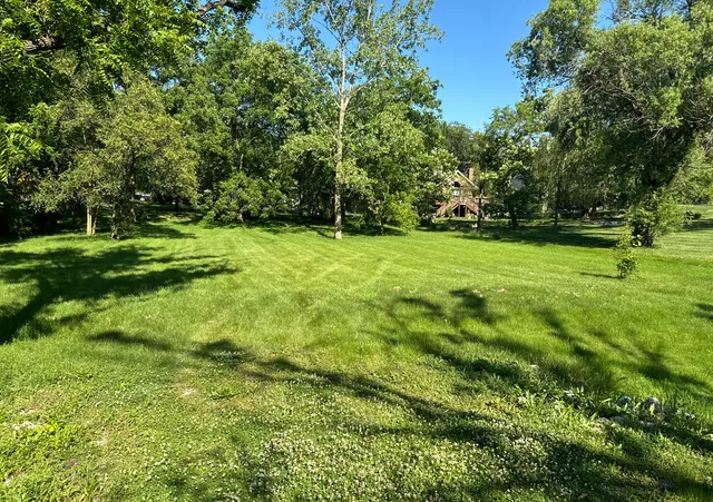 a view of a grassy field with trees