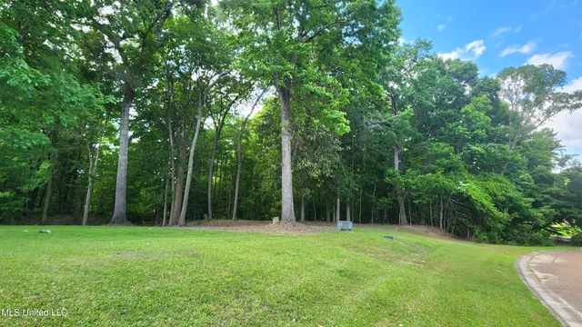 $84,000 | 0 Bluff Hills Place, Natchez, MS 39120