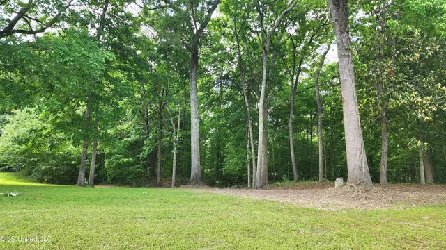 $84,000 | 0 Bluff Hills Place, Natchez, MS 39120