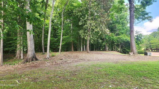 $84,000 | 0 Bluff Hills Place, Natchez, MS 39120