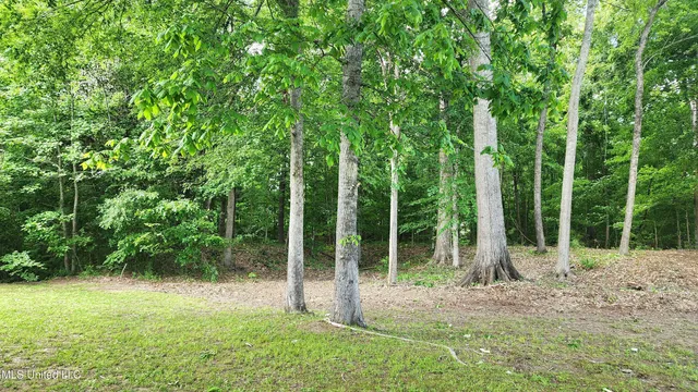 $84,000 | 0 Bluff Hills Place, Natchez, MS 39120