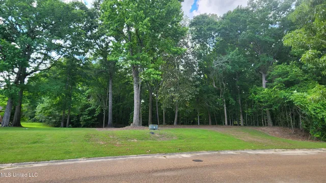 $84,000 | 0 Bluff Hills Place, Natchez, MS 39120