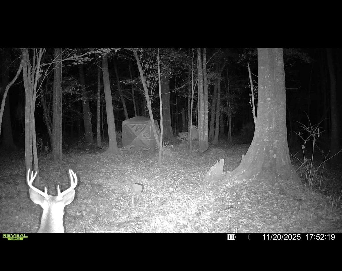 0 Sealy Wells Road Gordon, AL 36343 - Photo 23 of 25