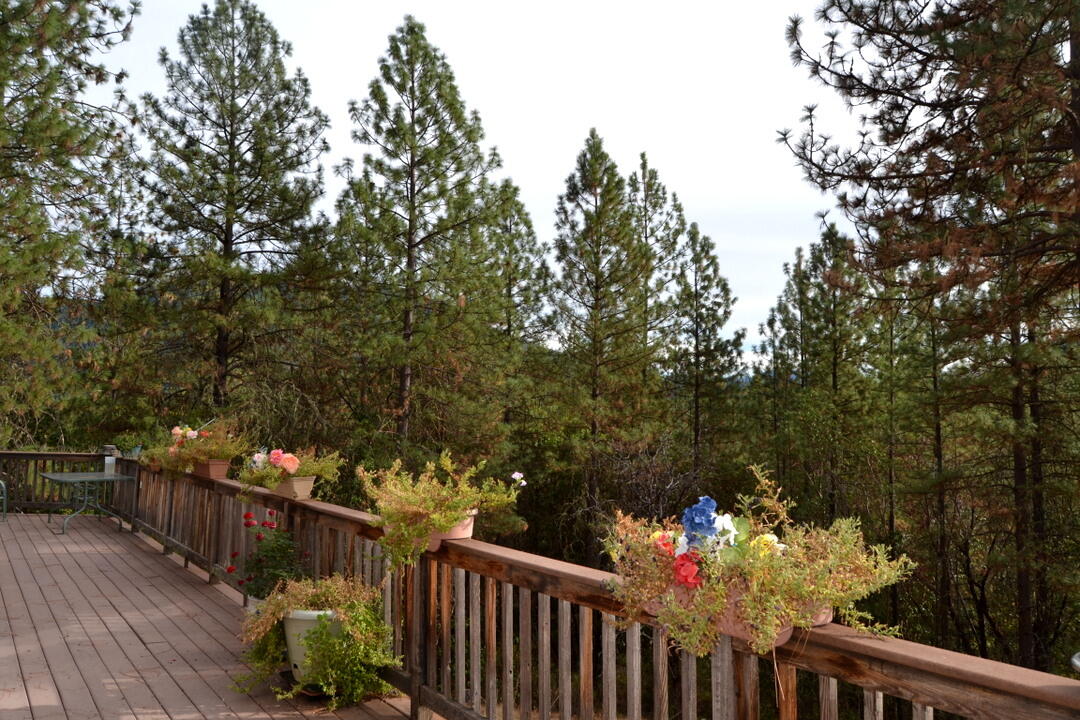 222 Guth Road Grants Pass, OR 97526 - Photo 38 of 48 DSC_3393