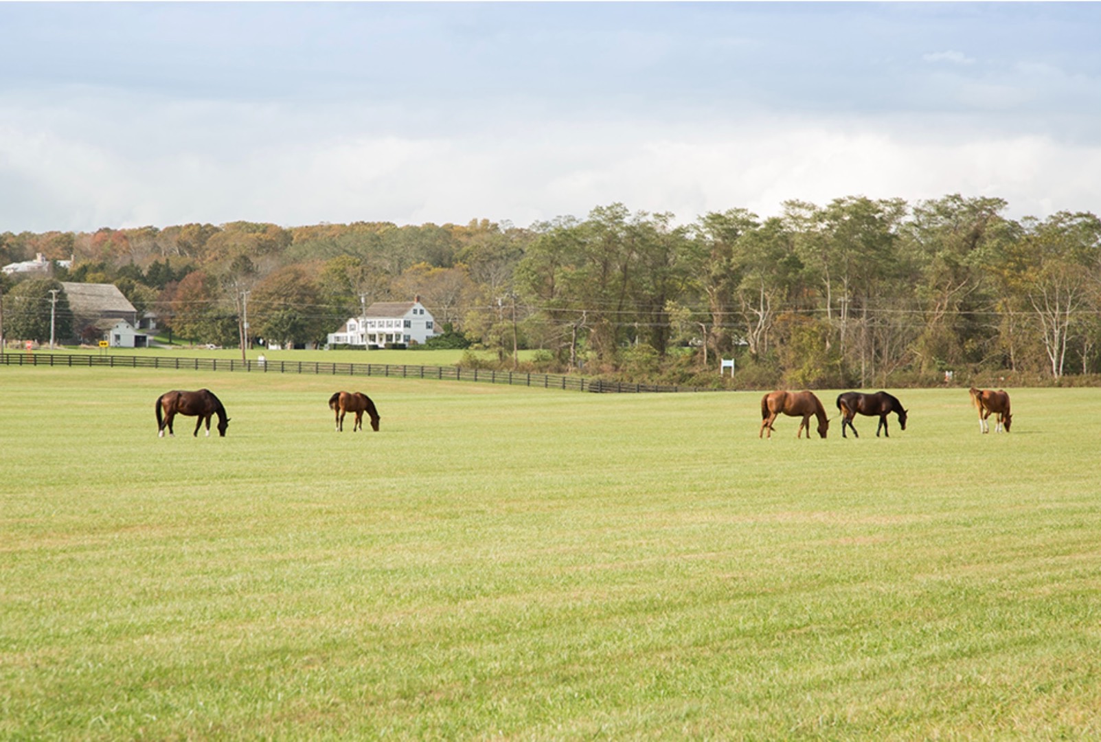 67 Norris Lane Bridgehampton, NY 11937 - Photo 32 of 32