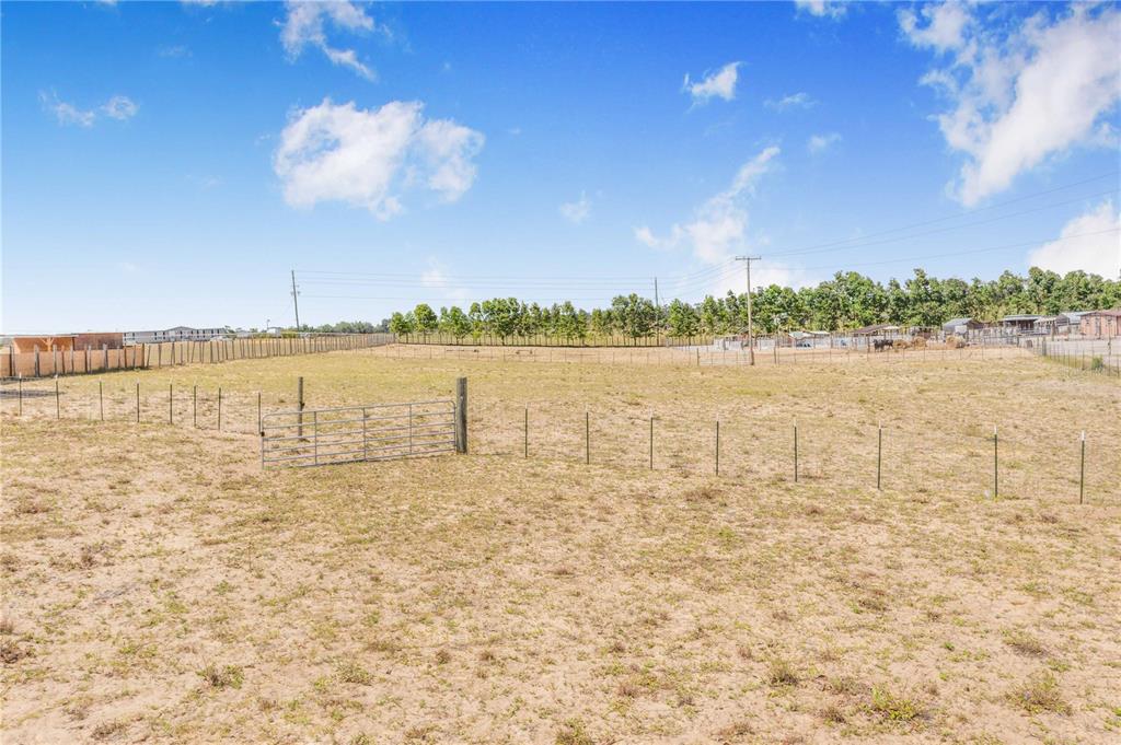 Lake Hatchineha Road Haines City, FL 33844 - Photo 11 of 20