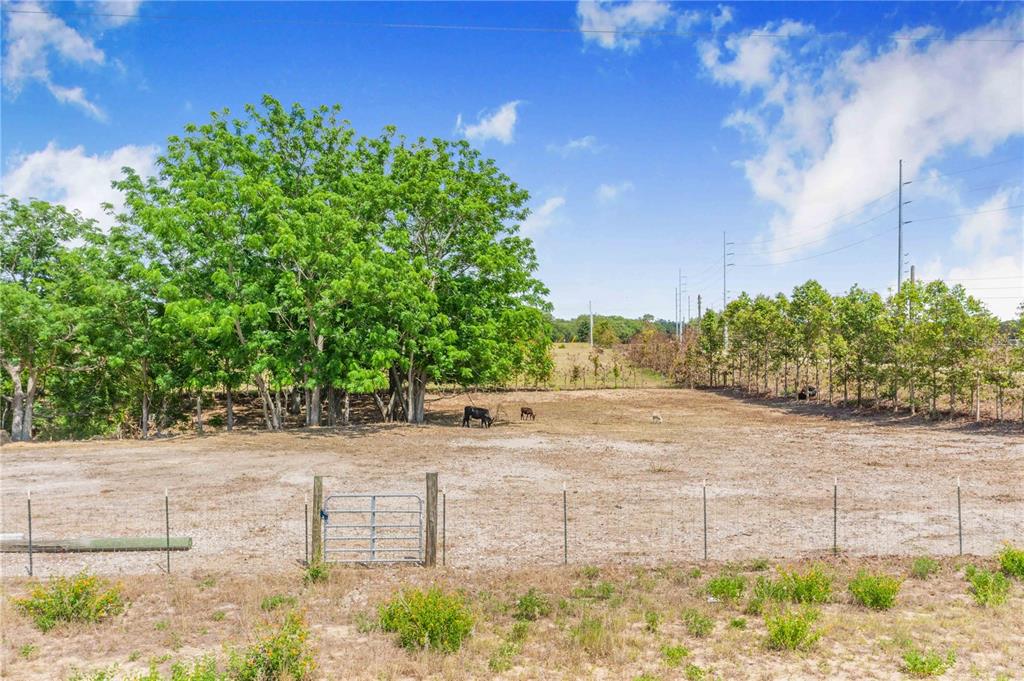 Lake Hatchineha Road Haines City, FL 33844 - Photo 5 of 20