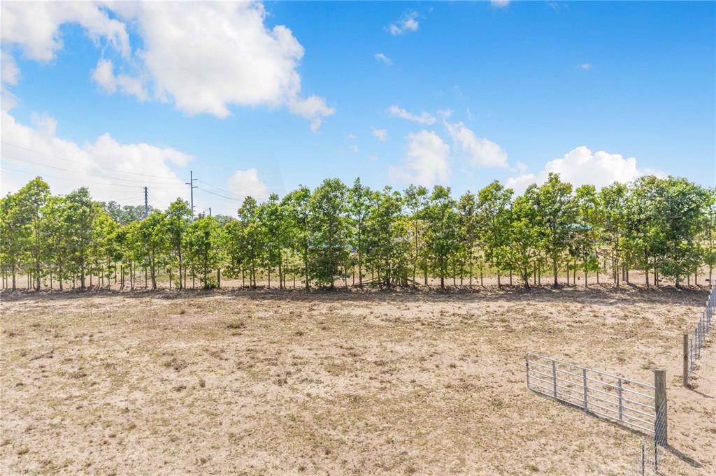 Lake Hatchineha Road Haines City, FL 33844 - Photo 6 of 20