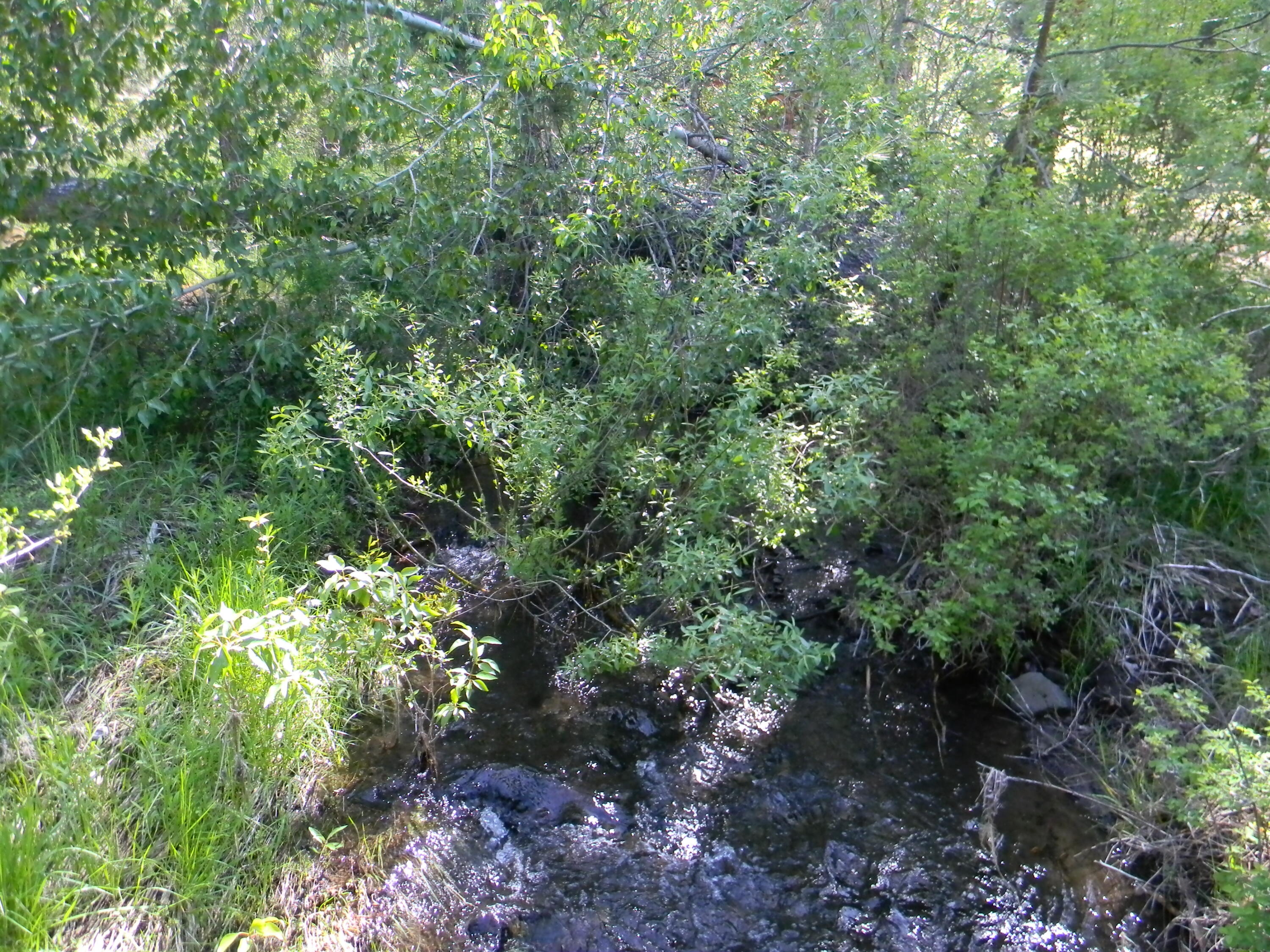 44916 Kahler Basin Road Spray, OR 97874 - Photo 25 of 25 DSCN6972