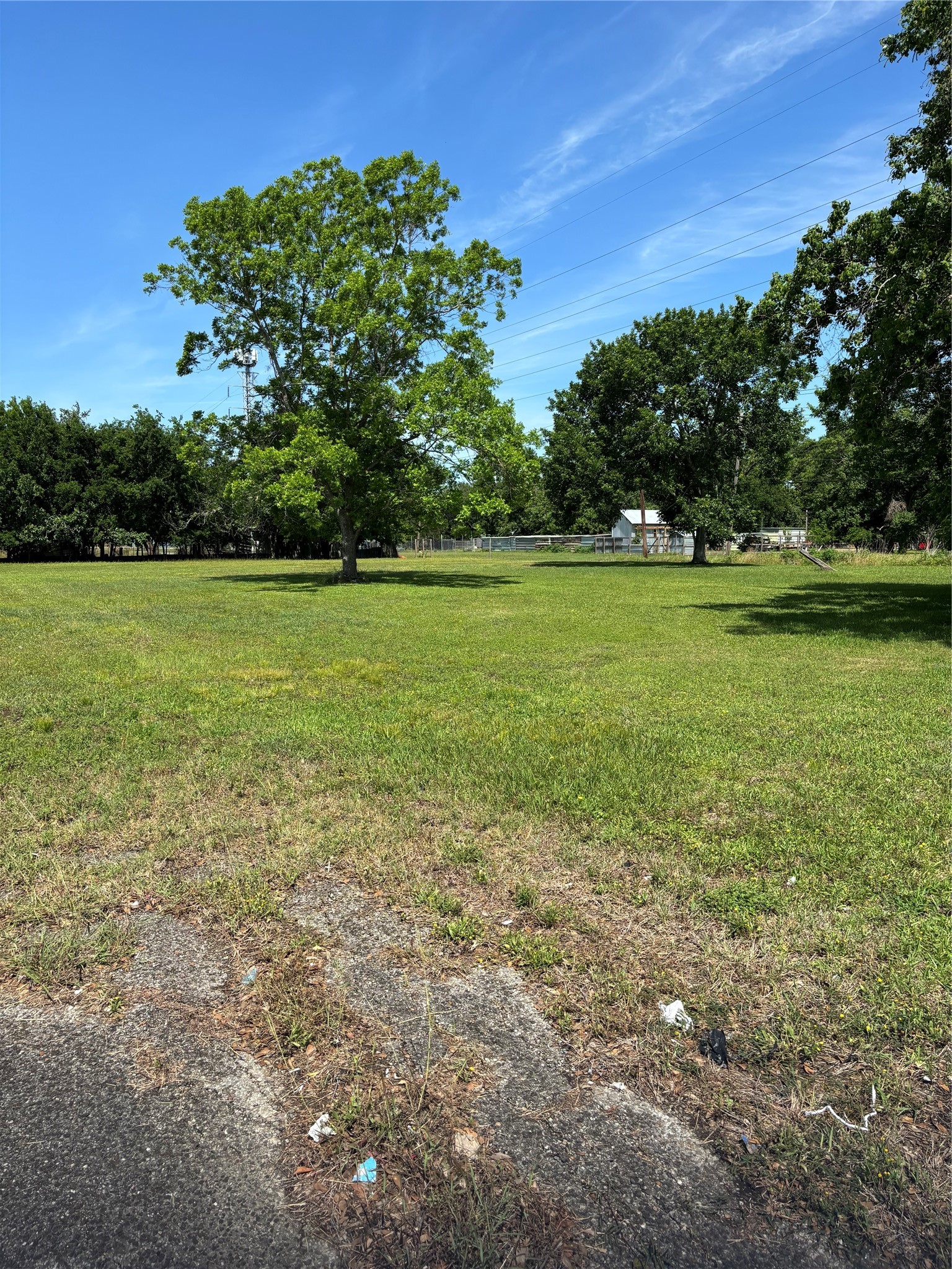 3706 Strawberry Road Pasadena, TX 77504 - Photo 3 of 4 a view of a field with an trees