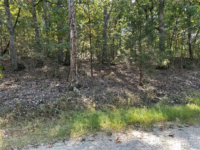 $50,000 | 1026 King Arthur Court, French Village, MO 63036