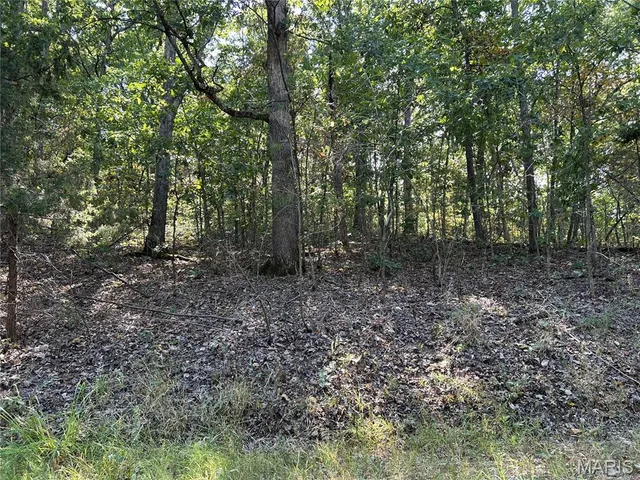 $50,000 | 1026 King Arthur Court, French Village, MO 63036