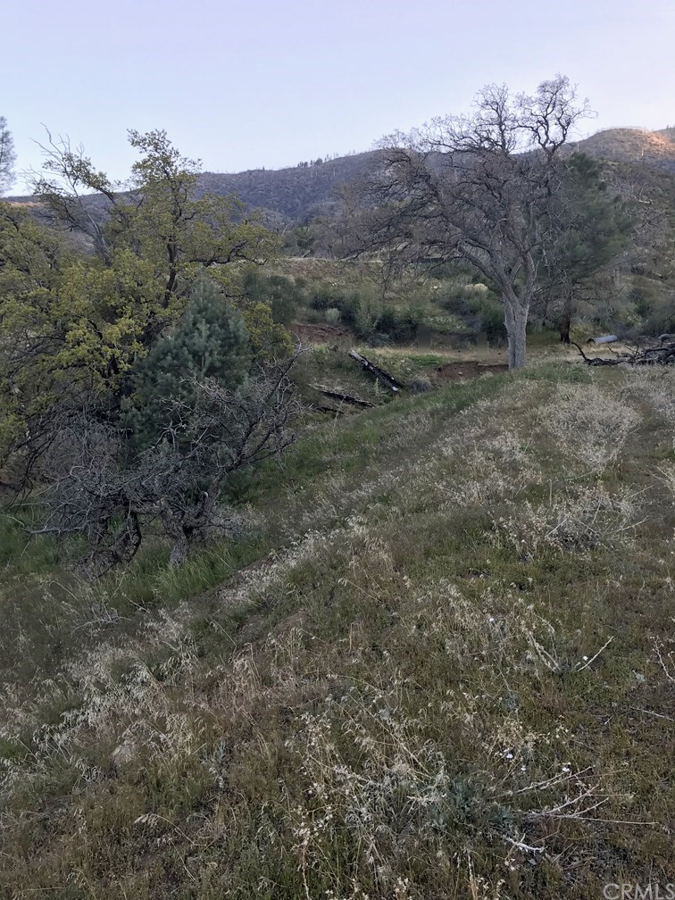0 Snowshoe Tehachapi, CA 93561 - Photo 1 of 3 Gallery Image 1