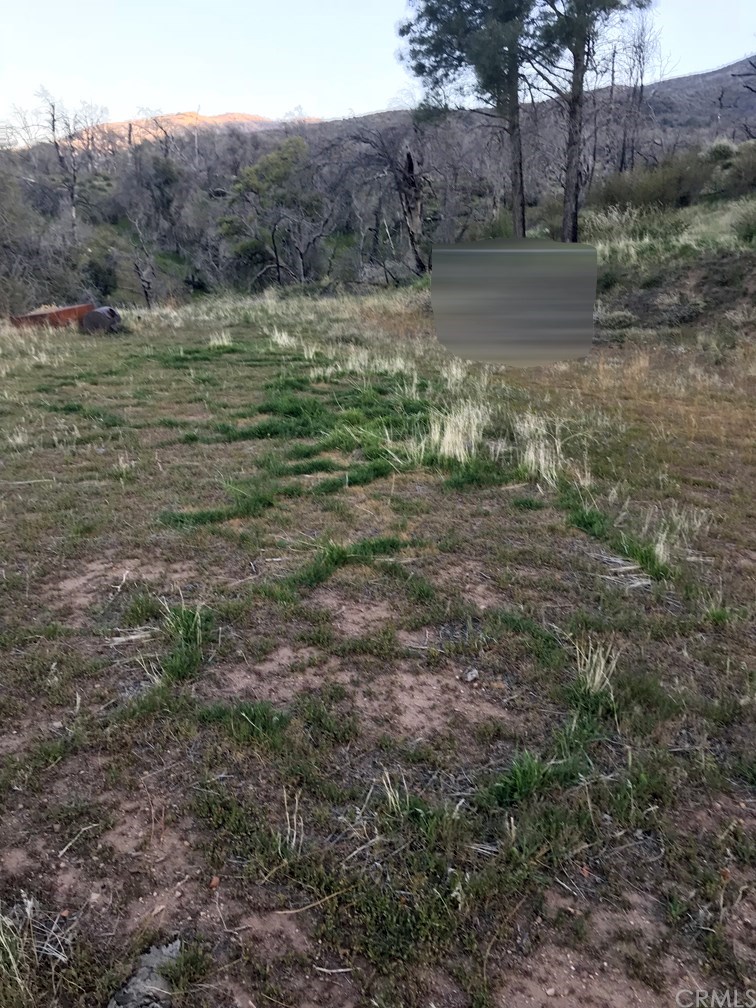0 Snowshoe Tehachapi, CA 93561 - Photo 3 of 3 Gallery Image 3