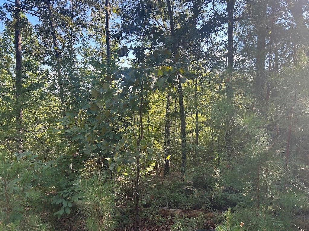 0 Springer Road Whitesburg, GA 30185 - Photo 5 of 12 Gallery Image 5