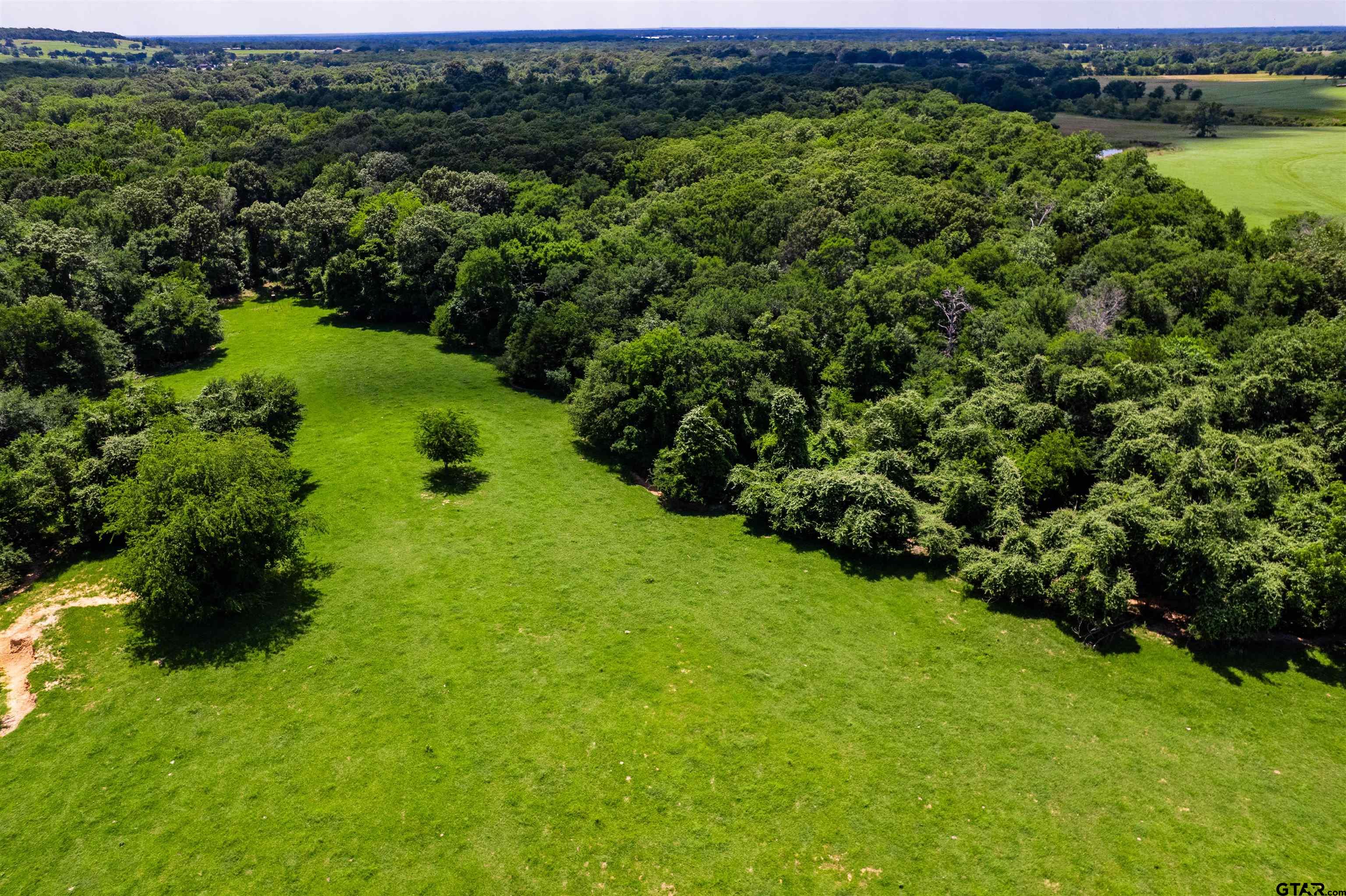 8970 Fm 59 Athens, TX 75751 - Photo 10 of 14 a view of a lush green forest with houses