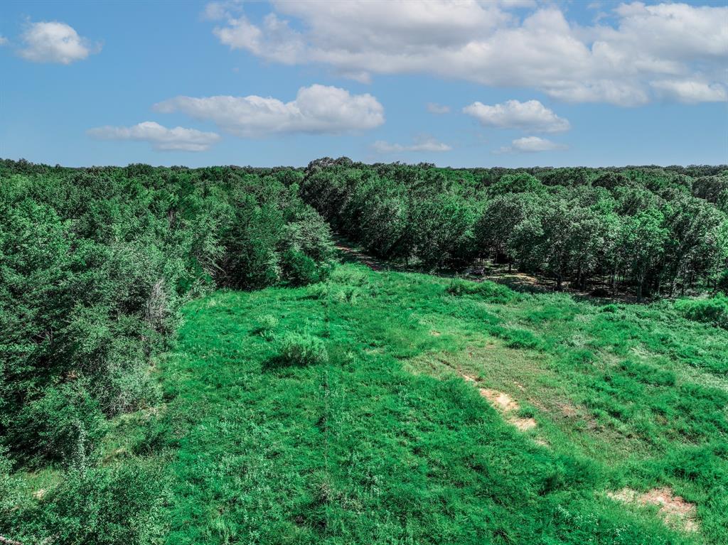 Tbd County Road 1909 Edgewood, TX 75117 - Photo 13 of 19 a view of a big yard with plants and large trees