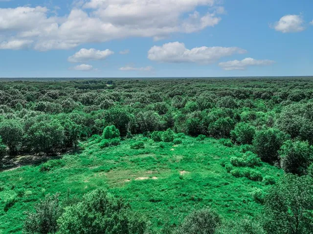 a view of a big yard with lots of green space and lots of trees