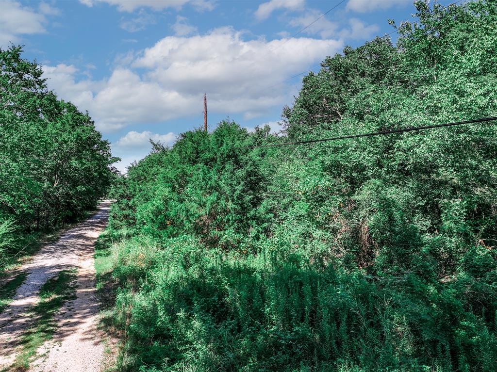 Tbd County Road 1909 Edgewood, TX 75117 - Photo 18 of 19 view of a bunch of trees