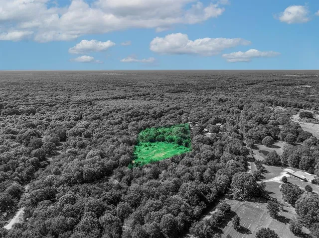 an aerial view of a houses with yard and mountain view in back