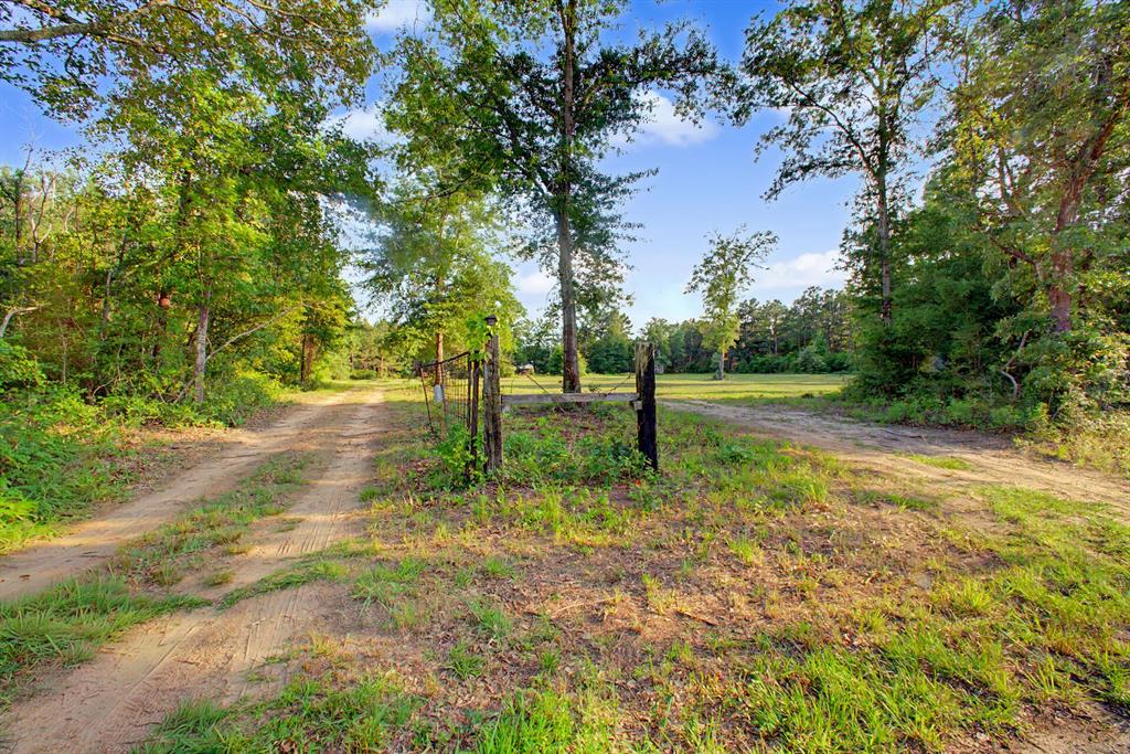 2874 An County Road Frankston, TX 75763 - Photo 21 of 39