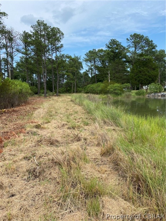 Lot 7 Horse Road Hayes, VA 23072 - Photo 8 of 11