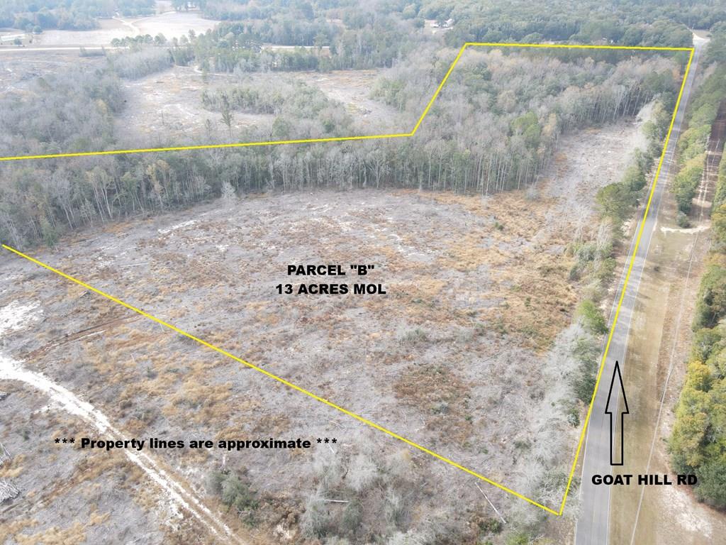 13-acres Goat Hill Road Samson, AL 36477 - Photo 3 of 19
