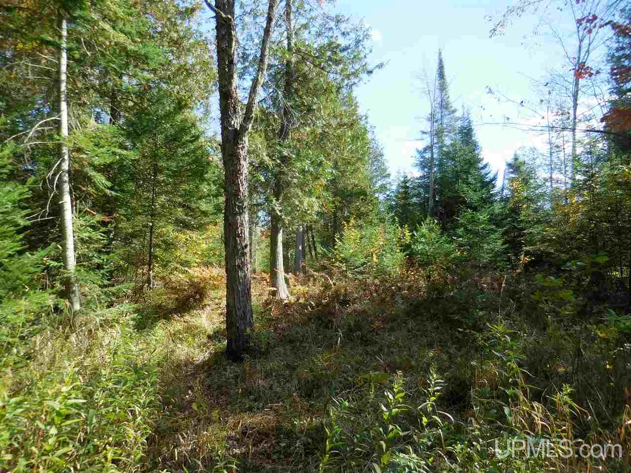 12 Acres Off Rice Road Manistique, MI 49854 - Photo 4 of 14