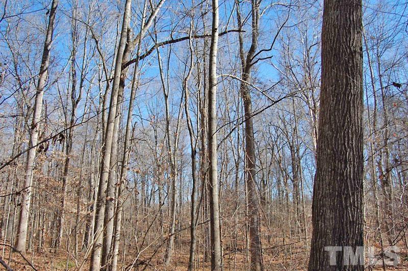 3747 Old Allensville Road Roxboro, NC 27574 - Photo 23 of 45 a view of forest