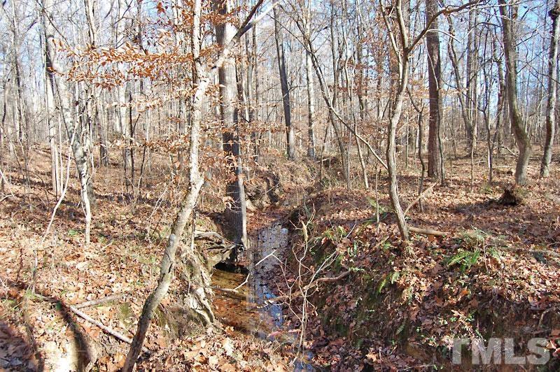 3747 Old Allensville Road Roxboro, NC 27574 - Photo 24 of 45 a backyard of a house with lots of green space
