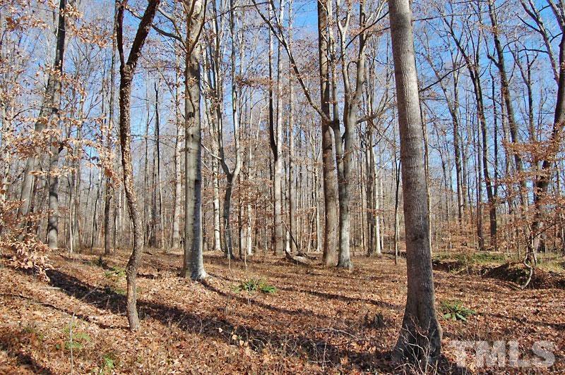 3747 Old Allensville Road Roxboro, NC 27574 - Photo 25 of 45 a view of a backyard of the house