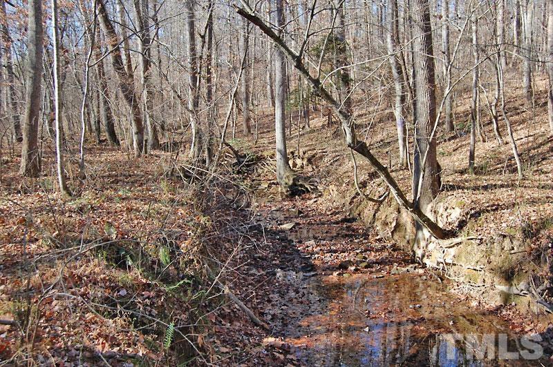 3747 Old Allensville Road Roxboro, NC 27574 - Photo 28 of 45 a view of covered with green space
