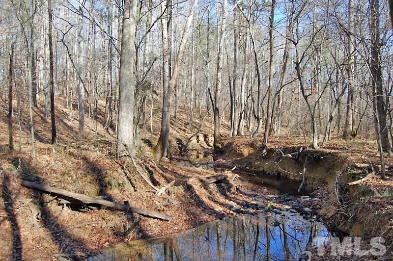 3747 Old Allensville Road Roxboro, NC 27574 - Photo 29 of 45