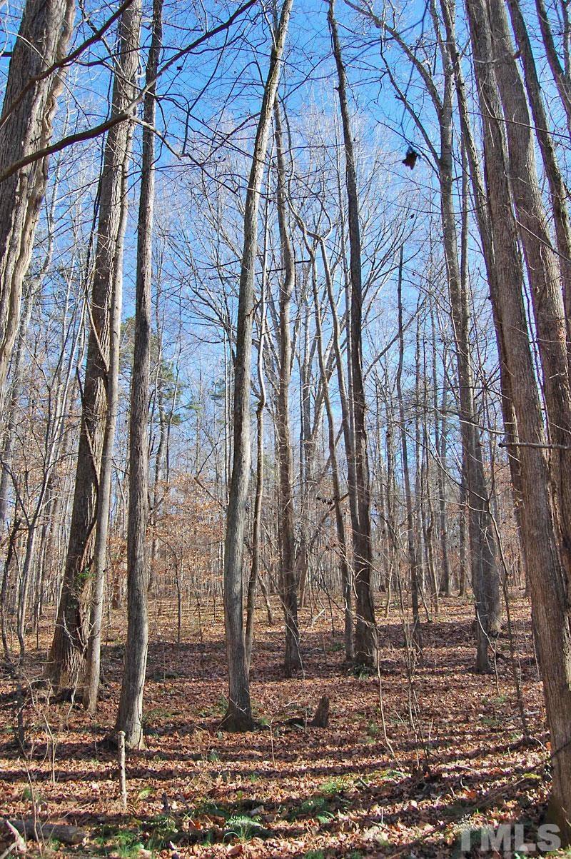 3747 Old Allensville Road Roxboro, NC 27574 - Photo 30 of 45 a backyard of a house