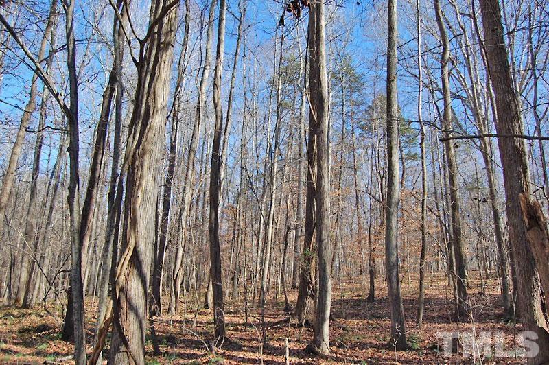 3747 Old Allensville Road Roxboro, NC 27574 - Photo 31 of 45 a view of a forest with a trees