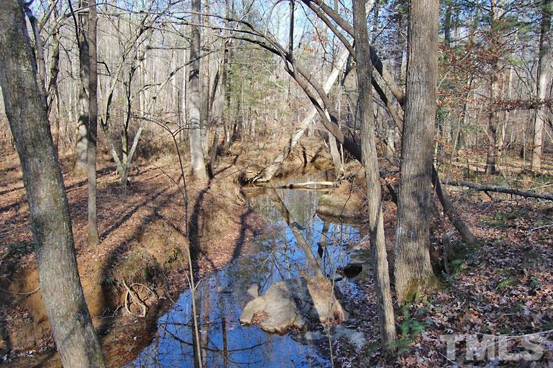 3747 Old Allensville Road Roxboro, NC 27574 - Photo 37 of 45 a view of covered with green space