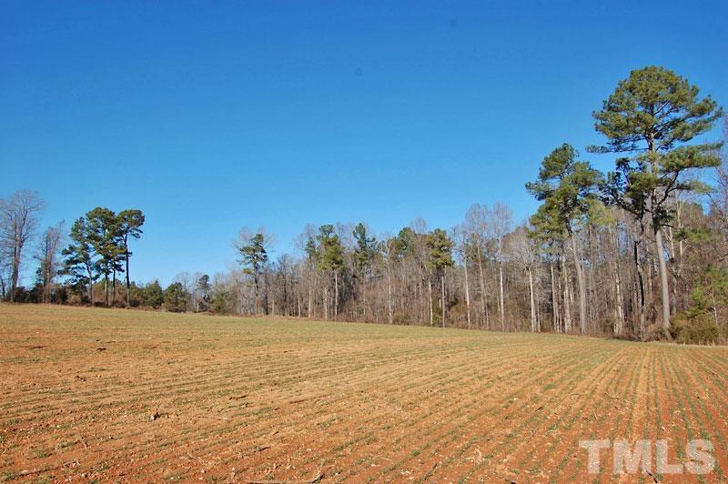 3747 Old Allensville Road Roxboro, NC 27574 - Photo 40 of 45 a view of empty space with mountain
