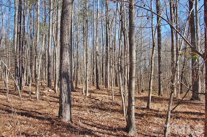 3747 Old Allensville Road Roxboro, NC 27574 - Photo 4 of 45