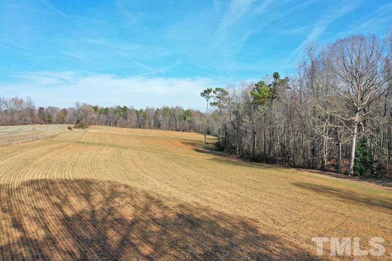 3747 Old Allensville Road Roxboro, NC 27574 - Photo 9 of 45 a view of dirt field with large trees