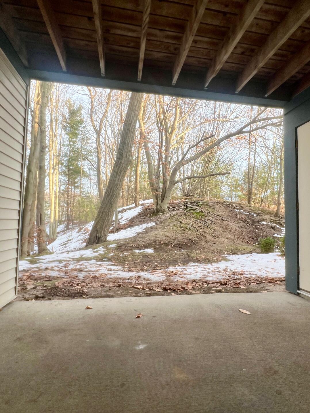 18372 North Ridge Court, Unit 8 Spring Lake, MI 49456 - Photo 22 of 44 IMG_8889